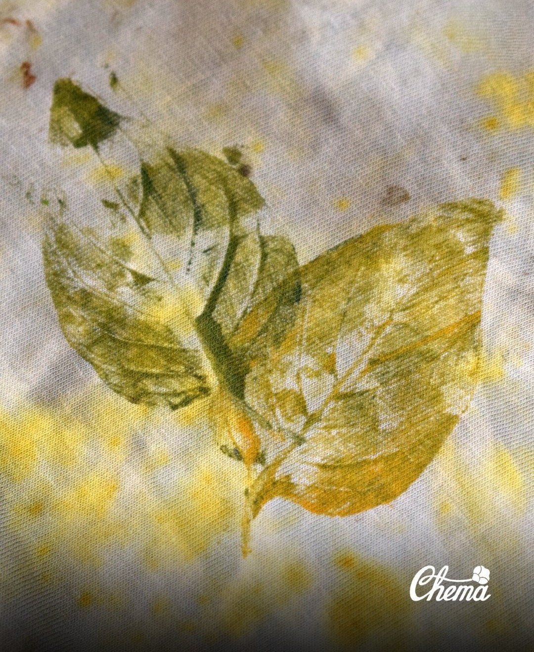 Pieza botánica representativa